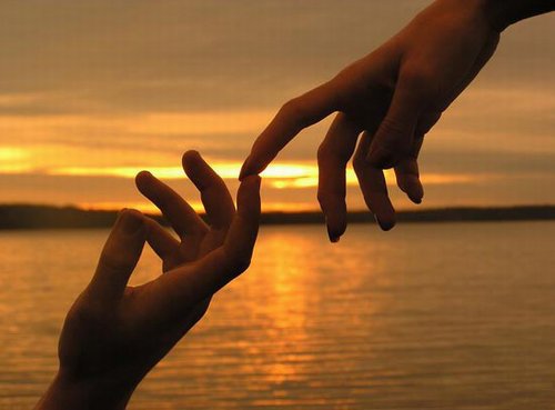 love